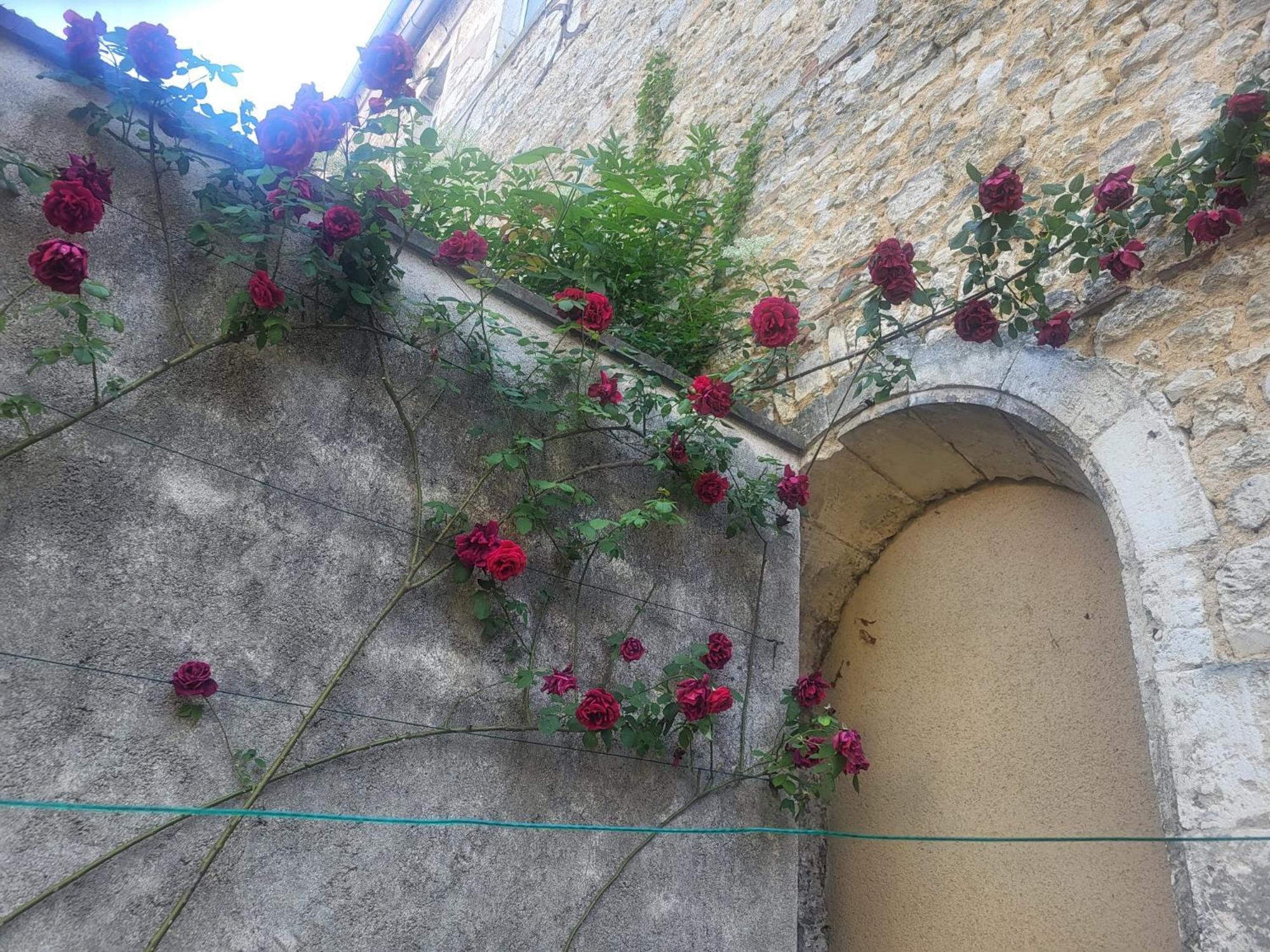 Au Puits De L'Abbaye Appartement Bourges Buitenkant foto